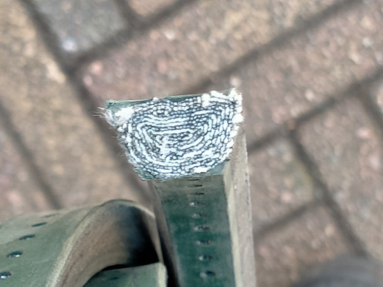 perforated belt 19 mm